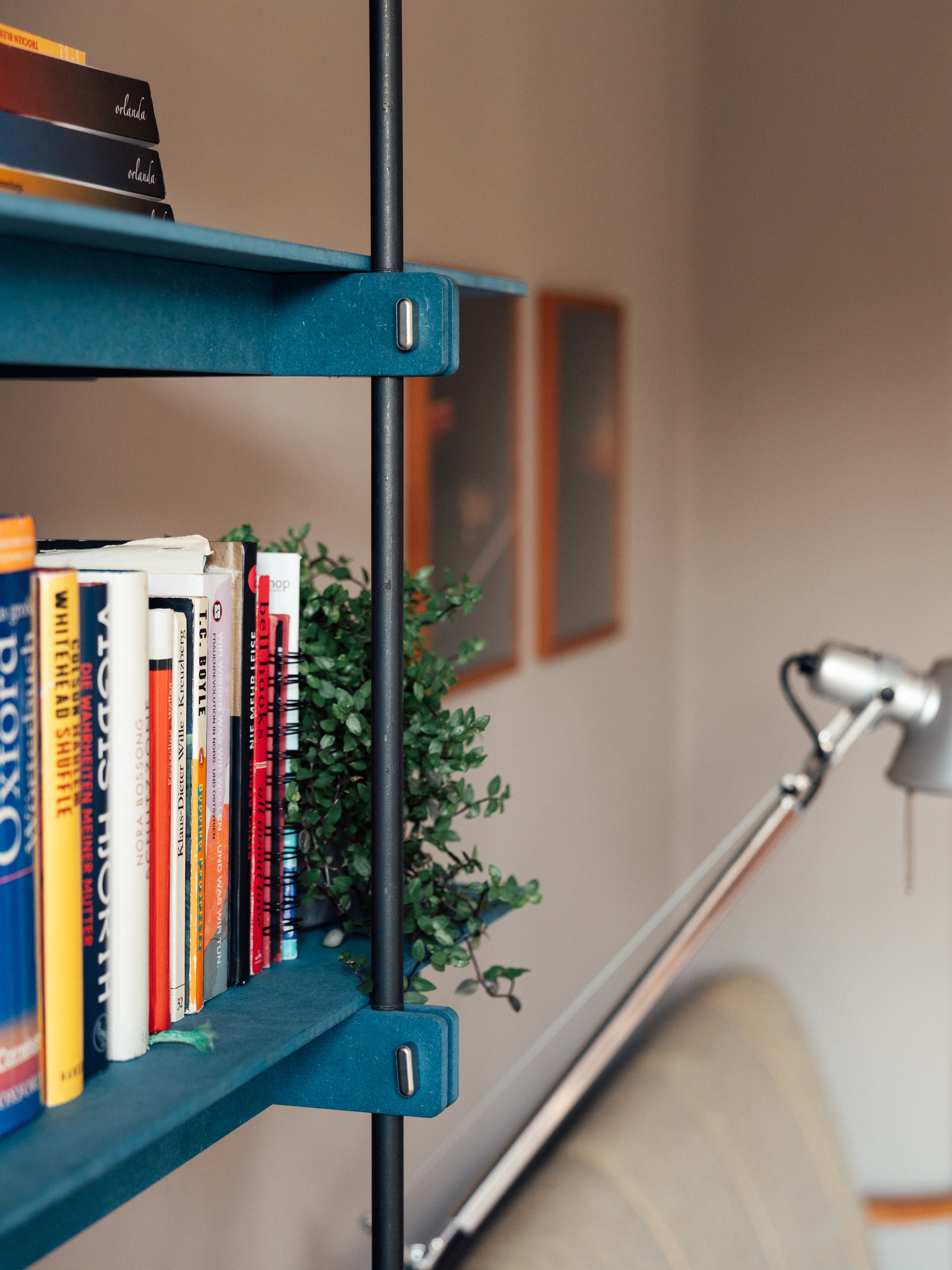 desgin regal in warmen blau, gemütliches wohnzimmer, stilvoll