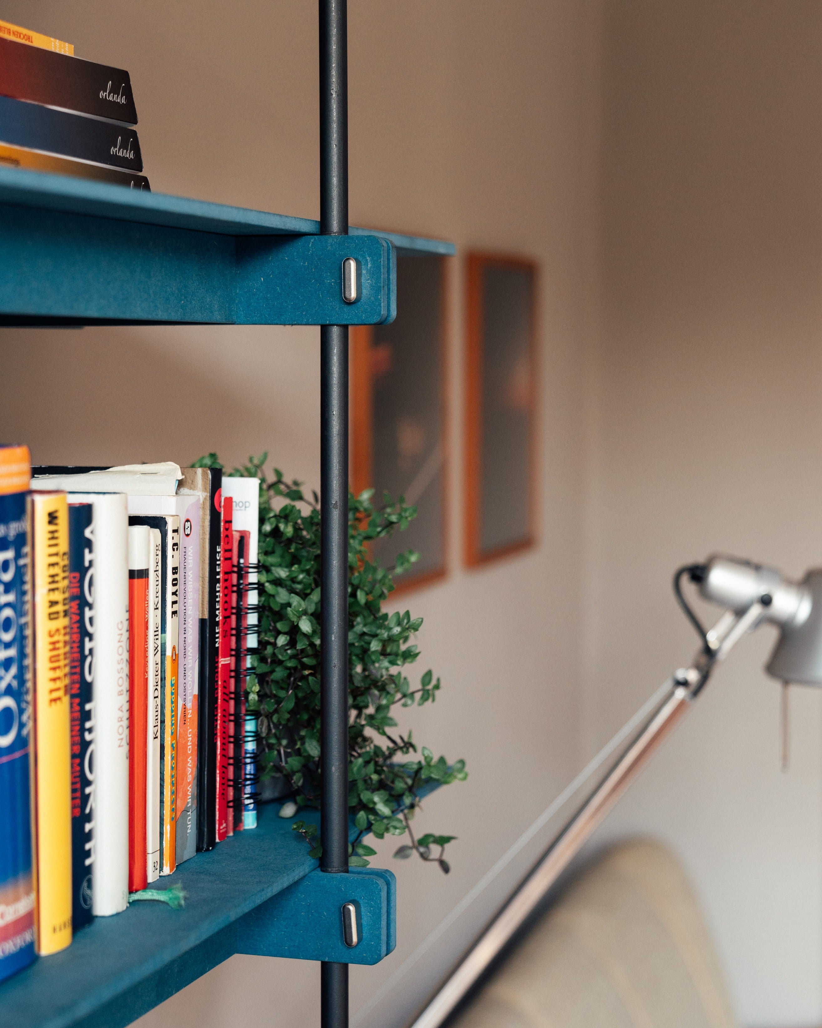 Offenes Design Regal aus blau lackiertem Holz mit schwarzem Stahlrahmen und Büchern.